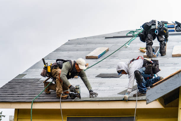 Professional Storm Damage Roof Repair technician working in Hebron, NH